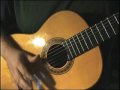 intro to fingerstykle guitar instructional video